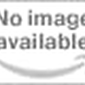 Graphic T-Shirts Cotton Animal Panda Cute Tee Shirts Tops Casual Fashion for Women Teens Girls Men (Green, X-Large)